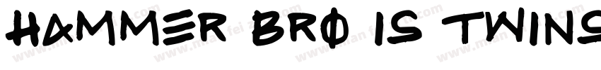 Hammer Bro Is Twinsane Regular字体转换